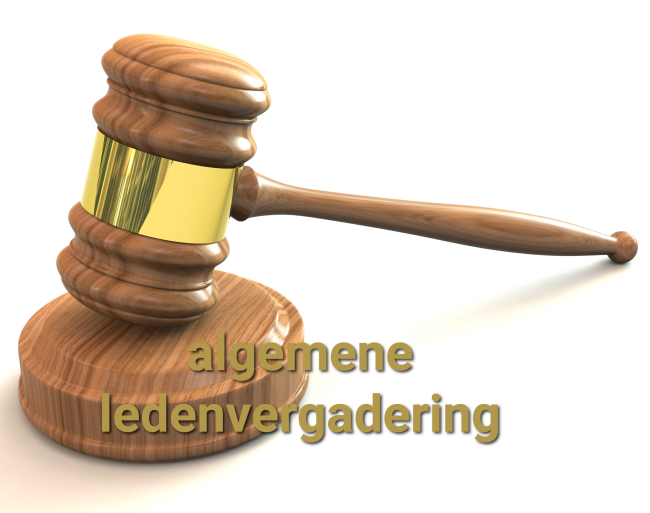 algemene ledenvergadering